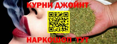 гашик Ливны