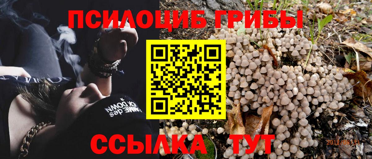 Галлюциногенные грибы Cubensis Альметьевск
